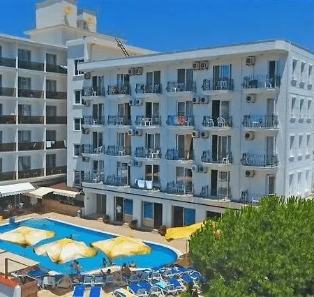 Ergin Ayvalı