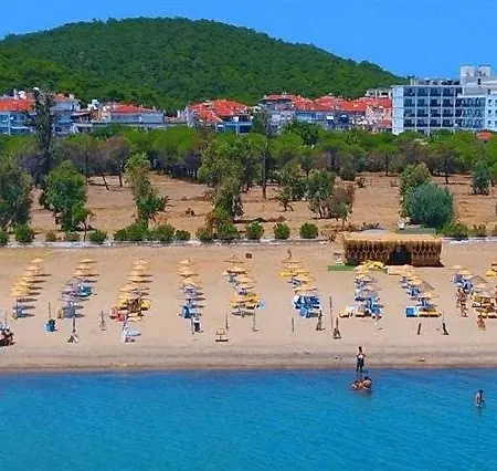 Ergin 2* Ayvalı