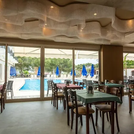Ergin Ayvalik